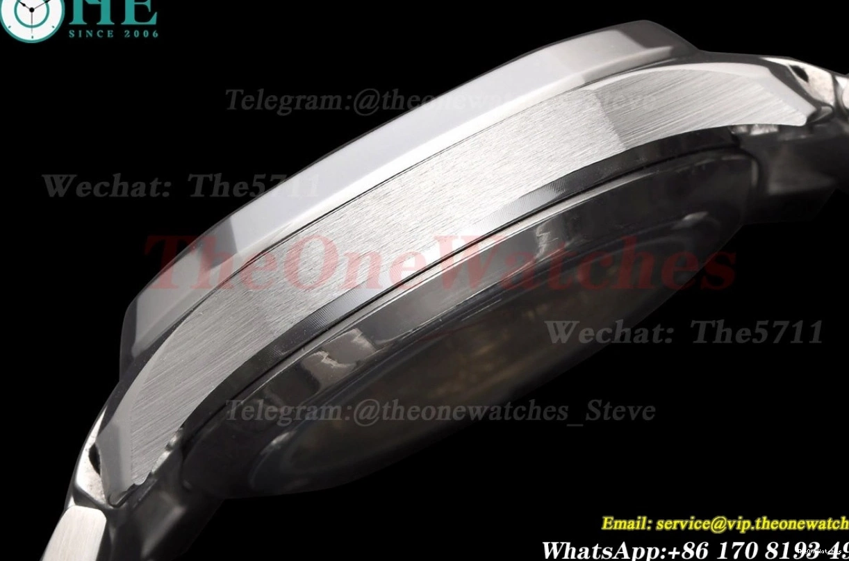 Grey GDF 40mm 5167 SS Dial Nautilus SS MY8215 0124